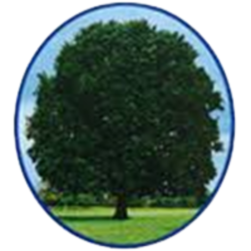 Shustoke CofE Primary School logo