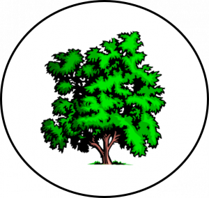 North Heath Community Primary School logo