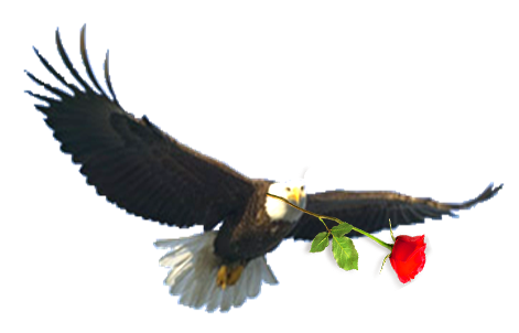 Red Rose School logo