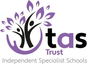 The Alternative School logo