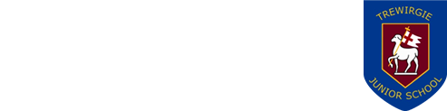 Trewirgie Junior School logo