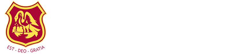 Bishop Fox's School logo