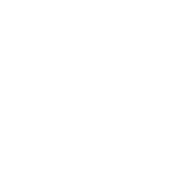 Dorchester Middle School logo