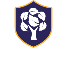 Elm Academy logo