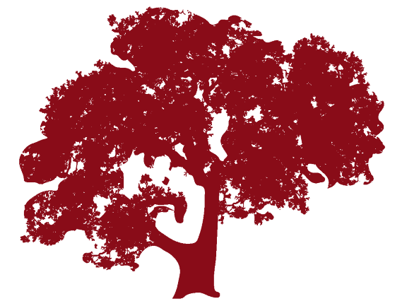 Woodside Academy logo