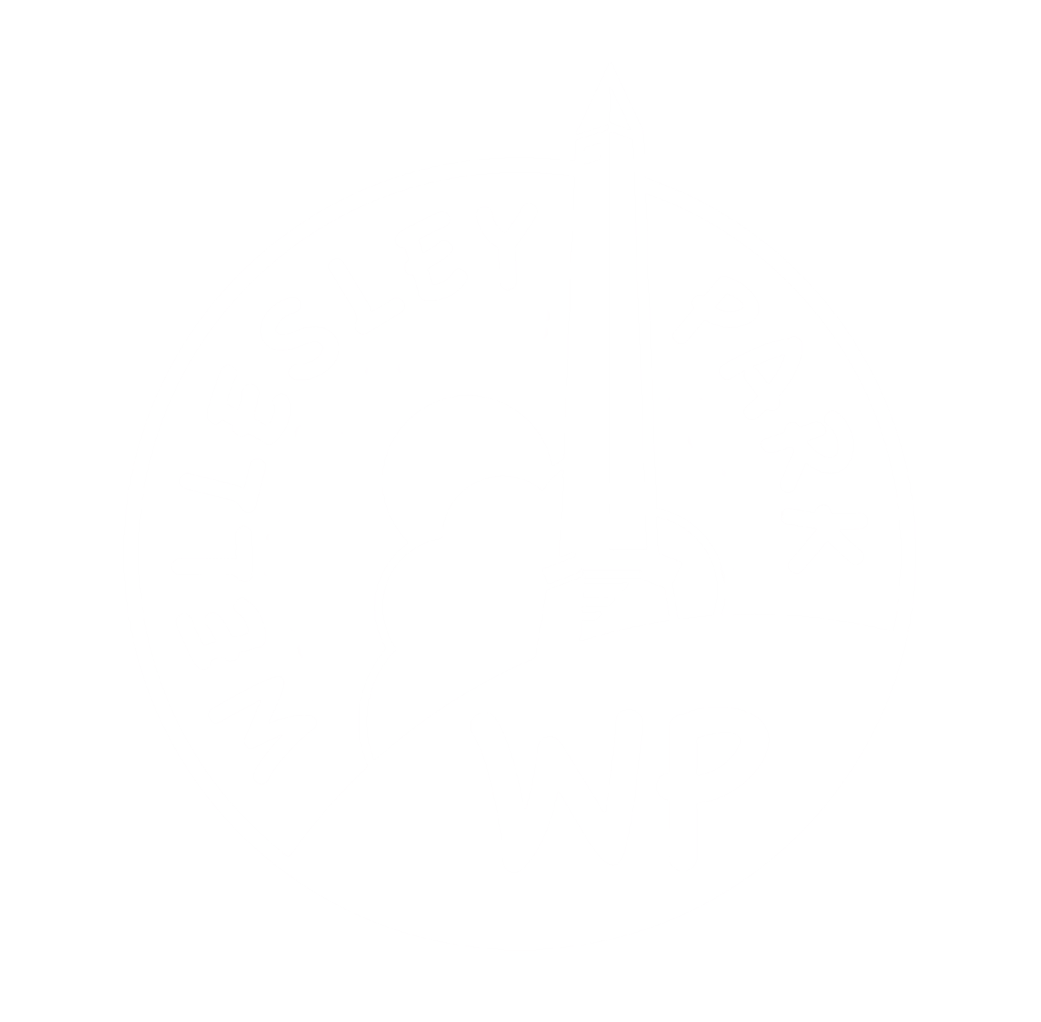 Wellesley Park Primary School logo