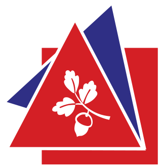 Djanogly Strelley Academy logo