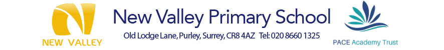 New Valley Primary School logo
