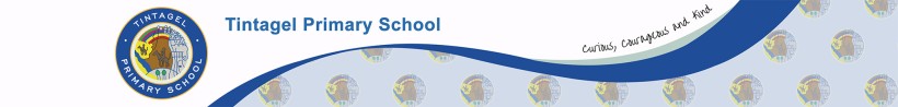 Tintagel Primary School logo