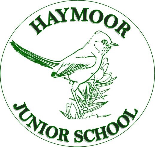 Haymoor Junior School logo