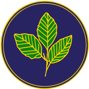 The Beeches Community Primary School logo