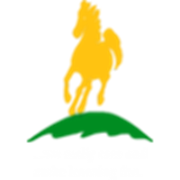 Stottesdon CofE Primary School logo