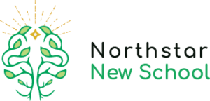Northstar New School logo
