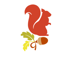 Hamsey Green Primary logo
