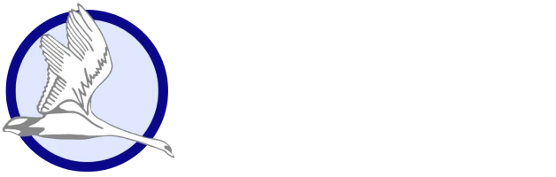 Brookside Primary School logo