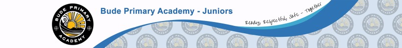 Bude Primary Academy - Infants logo