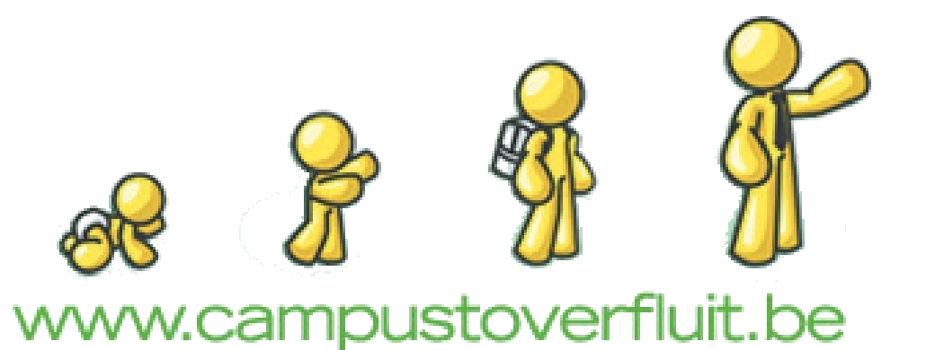 GO! Lagere school Toverfluit logo