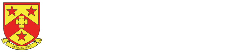 Nether Stowe School logo