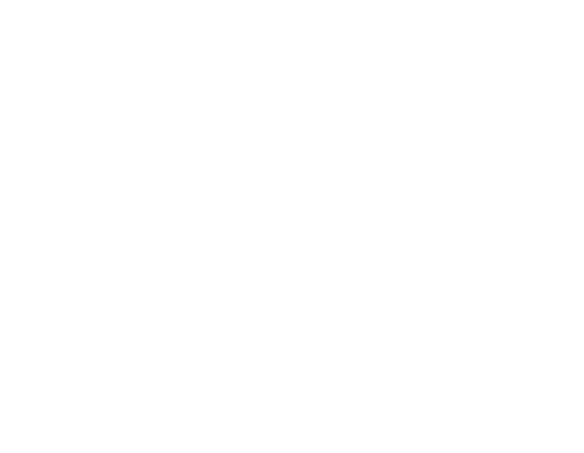 Vrije Basisschool Hunnegem logo