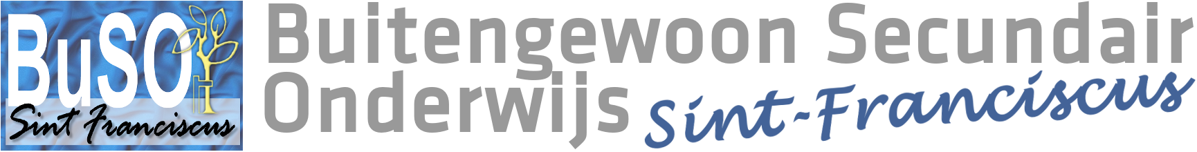 Buitengewoon Secundair Onderwijs Sint-Franciscus logo