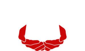 SMS Changing Lives School logo