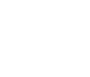 Rye College logo