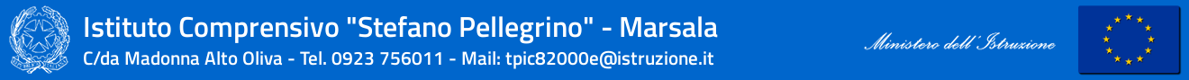 PLESSO "VERGA" logo