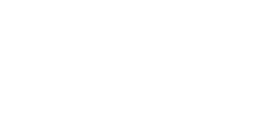 Lawn Primary School logo