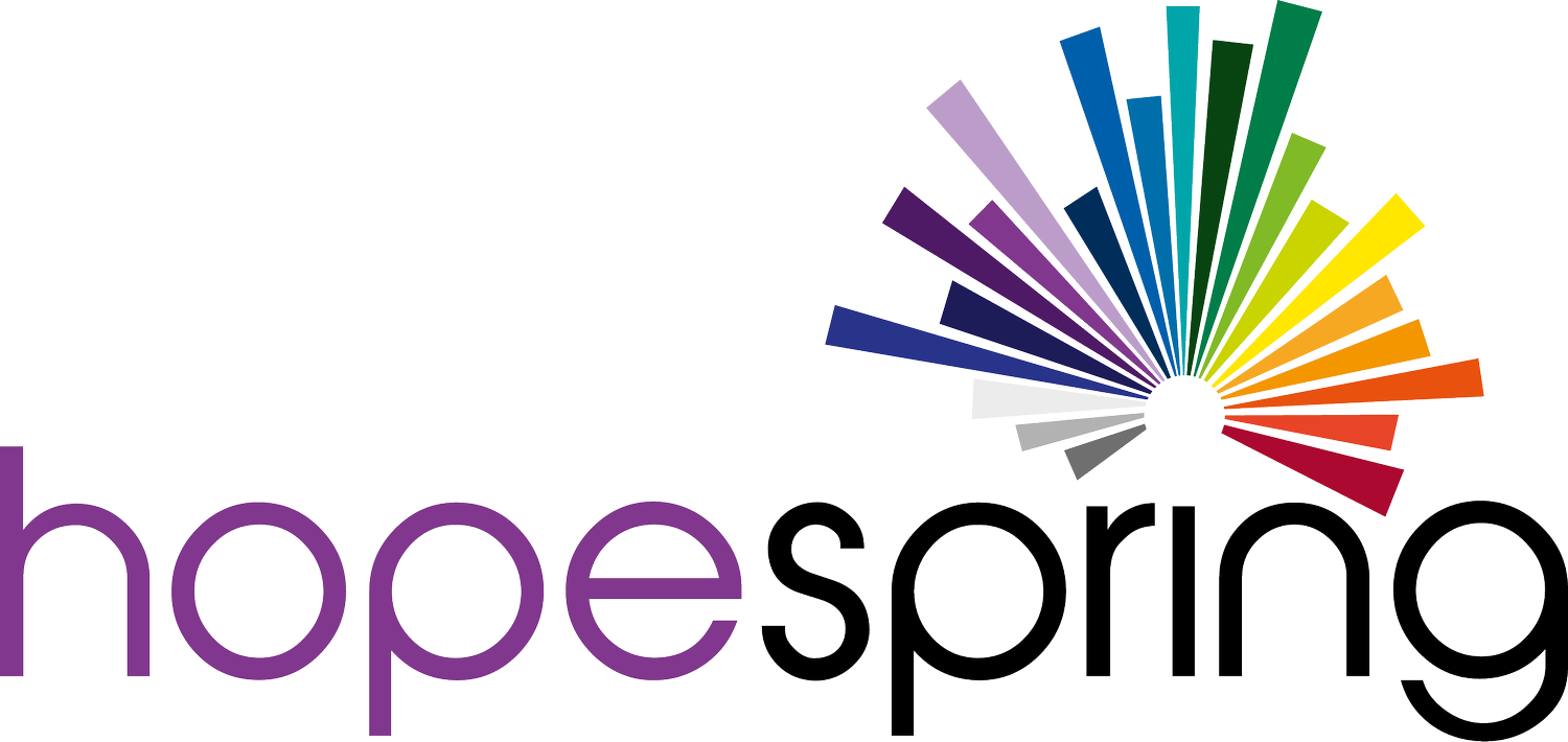 Hopespring Sunderland logo