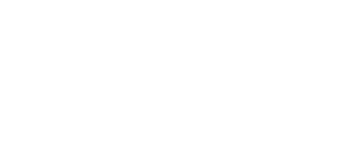 I.T.T. " L. DI MAGGIO" SERALE logo