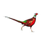 Rillington Primary School logo