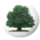 Parkfields Middle School logo