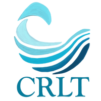 Connie Rothman School logo