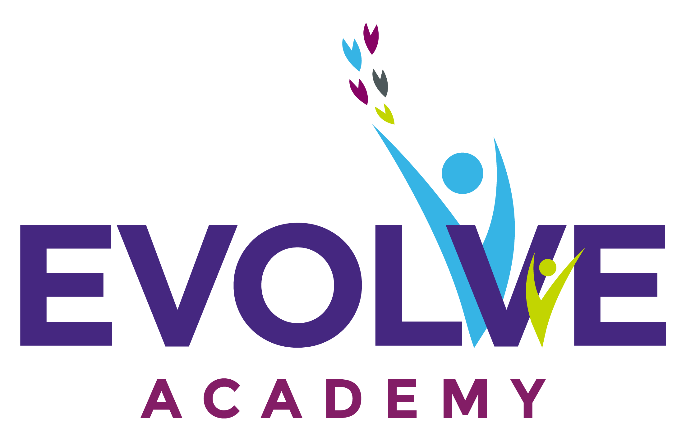 Evolve Academy logo