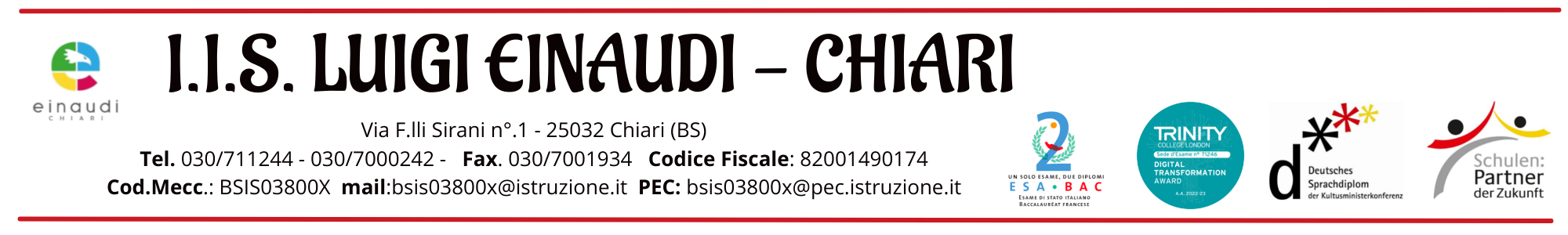 I.I.S. "L.EINAUDI" logo