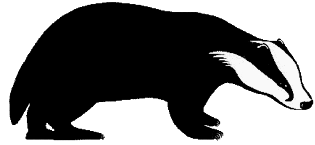 Birch Hill Primary School and Nursery logo