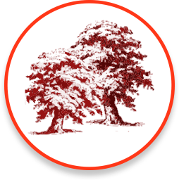 Limbrick Wood Primary School logo