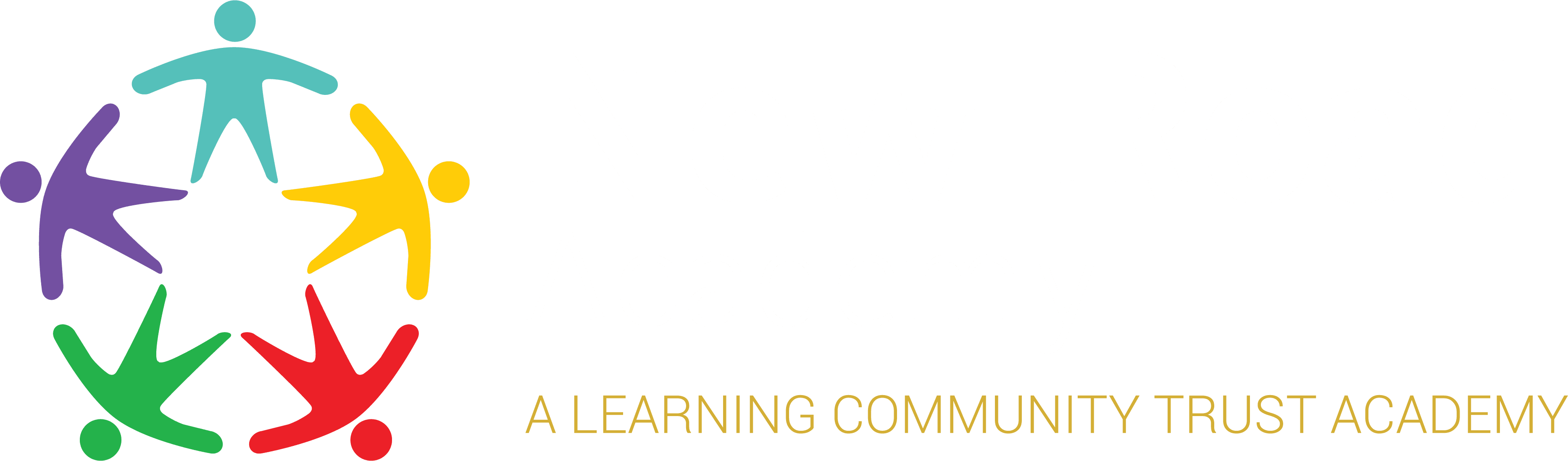 New Road Academy logo