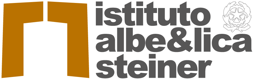 ISTITUTO TECNICO E LICEO - A. STEINER logo