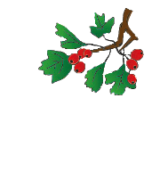 The Hawthorns Primary School logo