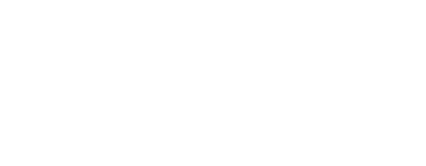 The Lanes Primary School logo