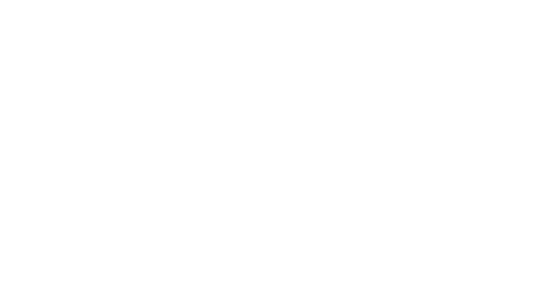 Bramley Grange Academy logo