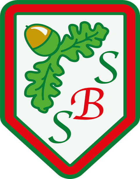 South Baddesley Church of England Primary School & Nursery logo
