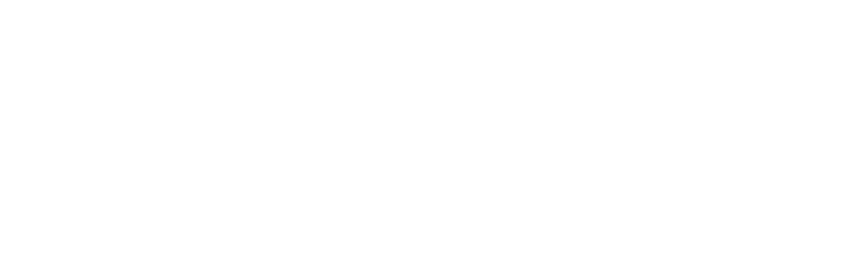 Flamstead Village School logo