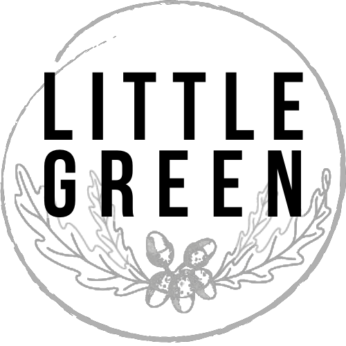 Little Green Junior School logo