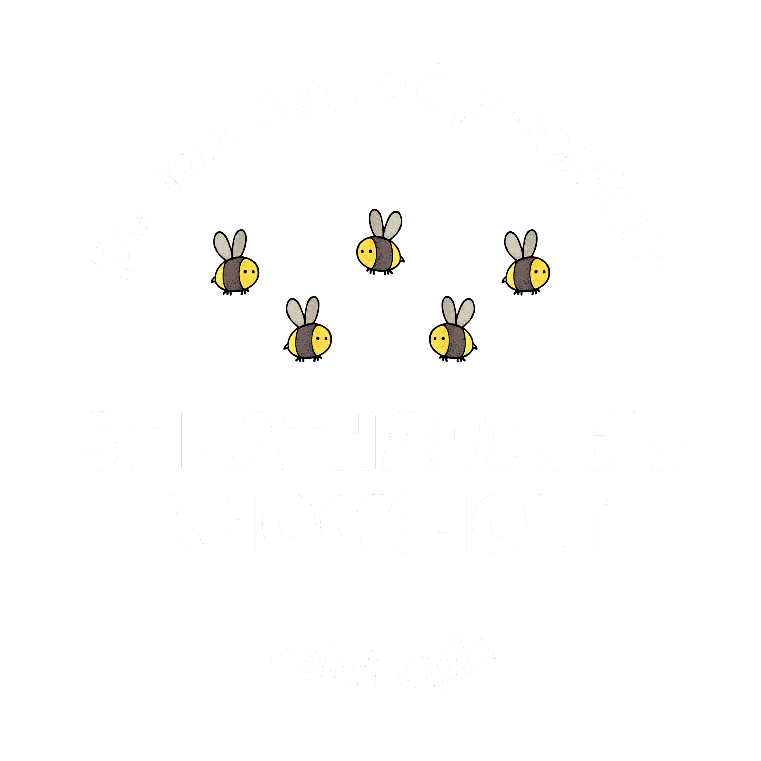 St Katharine's Knockholt Church of England Voluntary Aided Primary School logo
