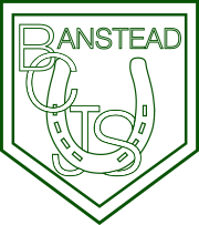 Banstead Community Junior School logo