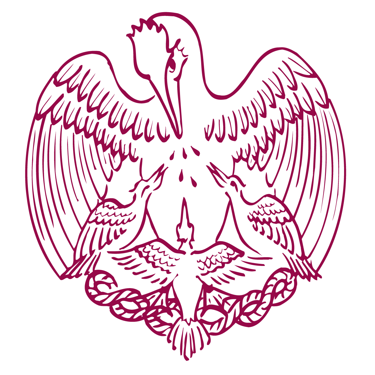 Sawston Village College logo