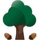 Oak Wood Primary School logo