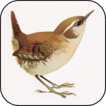 Wrens Nest Primary School logo